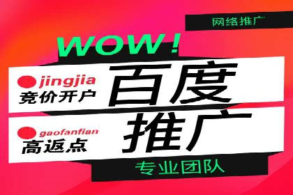 百度竞价代运营公司成功案例解析